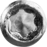 ЗУБР "МАСТЕР". Шпилька сантехническая, шестигранник, Torx 25, оцинкованная, М8x120мм, 600шт 37870-08-120-600 купить в Нижневартовске