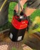 Насос скважинный DIVE 5500/3 Premium AL-KO купить в Нижневартовске