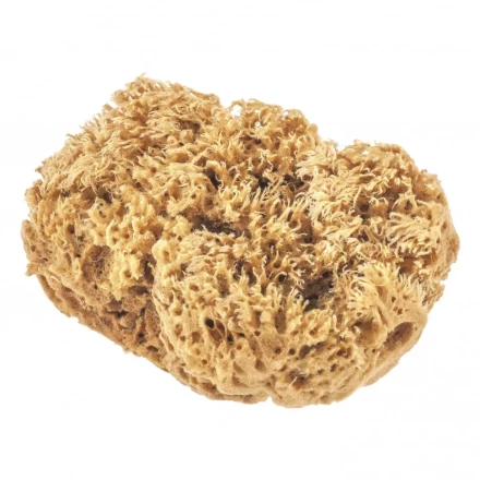 Губка натуральная для декоративных покрытий Matrix 86817 купить в Нижневартовске