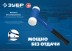 ЗУБР БМП-50, 50 мм, безынерционный молоток с полиамидными бойками, Профессионал (2043-50) купить в Нижневартовске