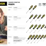 Набор отверток STAYER "MASTER", 19шт 2513-H19 купить в Нижневартовске