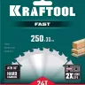 Диск пильный FAST, повышенный ресурс 36950-250-30 купить в Нижневартовске