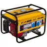 Бензиновый генератор STEM Techno SPG 3000 купить в Нижневартовске
