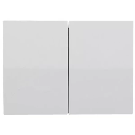 Выключатель СВЕТОЗАР "ЭФФЕКТ" двухклавишный, без вставки и рамки, цвет белый, 10A/~250B SV-54434-W купить в Нижневартовске