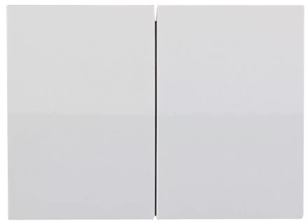 Выключатель СВЕТОЗАР "ЭФФЕКТ" двухклавишный, без вставки и рамки, цвет белый, 10A/~250B SV-54434-W купить в Нижневартовске