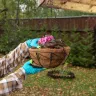 Кашпо подвесное с орнаментом Palisad, с кокосовой корзиной, диаметр 30 см, 690048 купить в Нижневартовске
