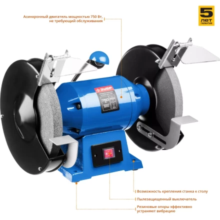 Точило с фонарем ЗТШМЭ-250-750 серия ПРОФЕССИОНАЛ купить в Нижневартовске