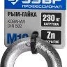 Рым-гайка DIN 582, оцинкованная, М10, 1 шт, ЗУБР Профессионал 304326-10 304326-10 купить в Нижневартовске