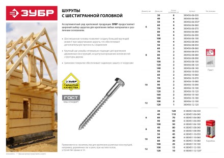 Шурупы ЗУБР &quot;МАСТЕР&quot; с шестигранной головкой, оцинкованные, 10x50мм, 2шт 300456-10-050 купить в Нижневартовске