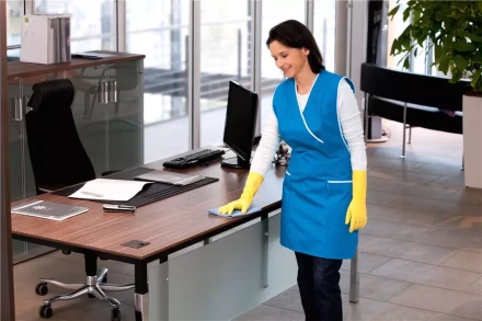 Средство для чистки поверхностей CA 30 C 1 л KARCHER купить в Нижневартовске