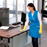 Средство для чистки поверхностей CA 30 C 1 л KARCHER купить в Нижневартовске