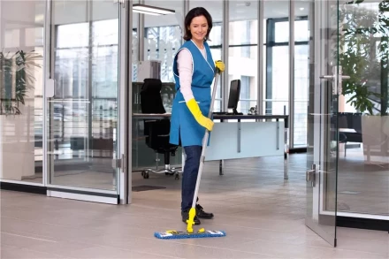 Средство для чистки поверхностей CA 30 C 1 л KARCHER купить в Нижневартовске