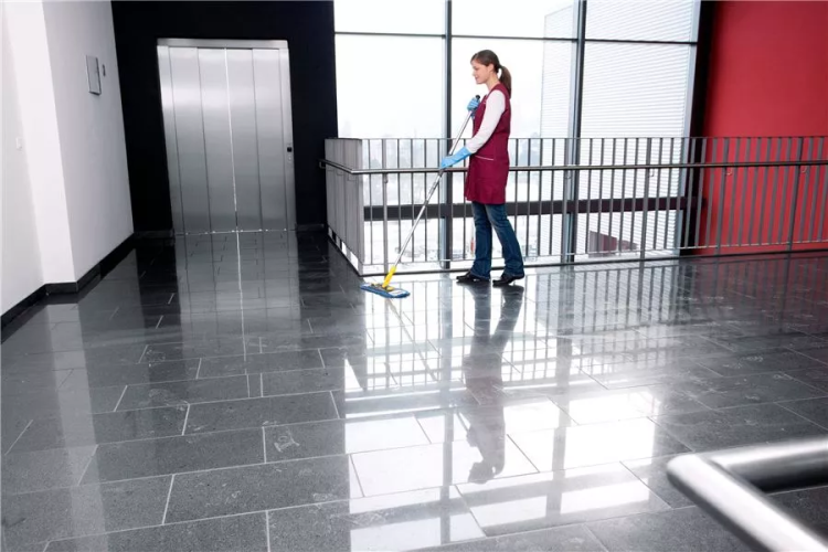 Средство для чистки поверхностей CA 30 C 1 л KARCHER купить в Нижневартовске