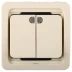 Выключатель СВЕТОЗАР "ГАММА" двухклавишный, с подсветкой, цвет бежевый, 10А/~250В SV-54135-B купить в Нижневартовске