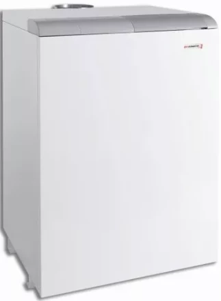 Котел Protherm 40 TLO купить в Нижневартовске