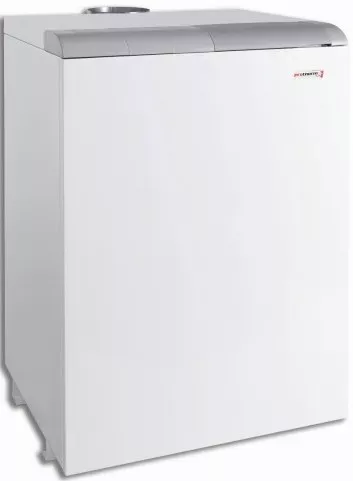 Котел Protherm 40 TLO купить в Нижневартовске