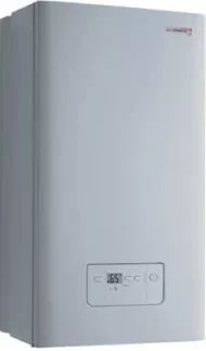 Котел Protherm GEPARD 23 MOV 23 кВт купить в Нижневартовске