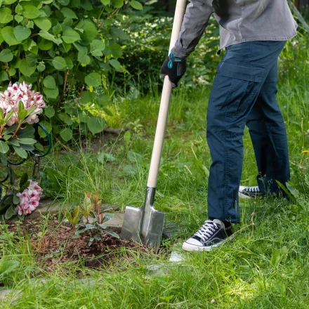 Лопата штыковая, нержавеющая сталь Сибртех, 200х265 мм, ребра жесткости, без черенка, Россия 614375 купить в Нижневартовске