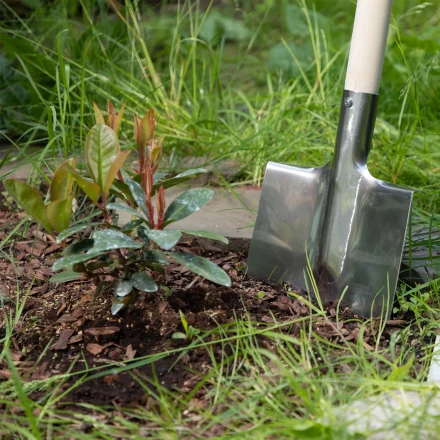 Лопата штыковая, нержавеющая сталь Сибртех, 200х265 мм, ребра жесткости, без черенка, Россия 614375 купить в Нижневартовске