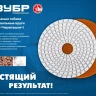 ЗУБР 100 мм, №100, мокрое шлифование, алмазный гибкий шлифовальный круг АГШК, Профессионал (29866-100) купить в Нижневартовске