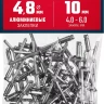 ЗУБР 4.8 x 10 мм, 50 шт, алюминиевые заклепки, Профессионал (313106-48-10) купить в Нижневартовске