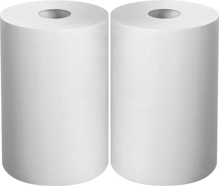 ЗУБР 20 х 25 см, 2-х слойная, в рулоне, 400 листов, 2 рулона, протирочная бумага, Профессионал (12822-20) купить в Нижневартовске