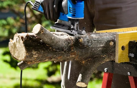 Полотна для электролобзика по дереву серия ПРОФЕССИОНАЛ купить в Нижневартовске