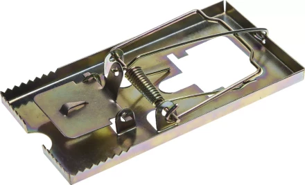 Мышеловка STAYER "MASTER", металлическое основание, средняя 40490-M купить в Нижневартовске