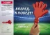 Ладошка-хлопушка болельщика пластиковая, ЗУБР 69999 купить в Нижневартовске