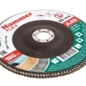 Круг Лепестковый Торцевой (КЛТ) HAMMER КЛТ 1 Ф180х22 Р40 213-030 купить в Нижневартовске
