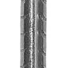 Гвозди ЗУБР оцинкованные строительные по дереву/листовому металлу, 3,0х80мм, ТФ6, 22шт 4-305036-30-080 купить в Нижневартовске