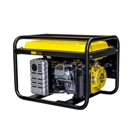 Генератор бензиновый CHAMPION GG3301 купить в Нижневартовске