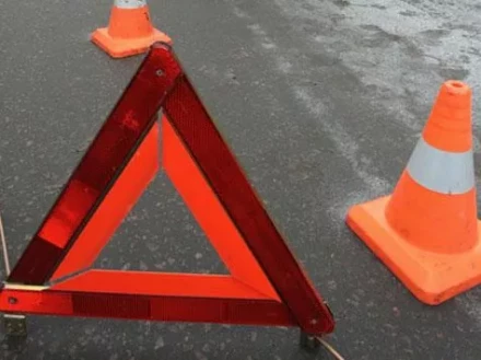 Знак аварийной остановки в кейсе STELS 54914 купить в Нижневартовске