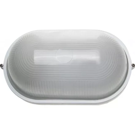 Светильник уличный СВЕТОЗАР влагозащищенный, овал, цвет белый, 100Вт SV-57203-W купить в Нижневартовске