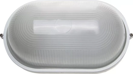 Светильник уличный СВЕТОЗАР влагозащищенный, овал, цвет белый, 100Вт SV-57203-W купить в Нижневартовске